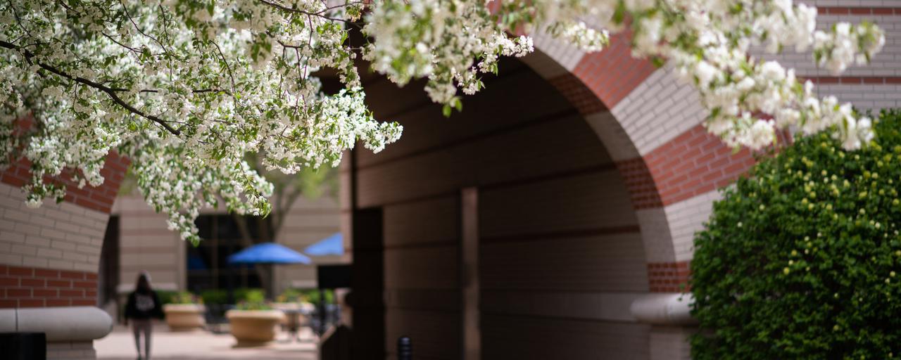 flowers and seidman